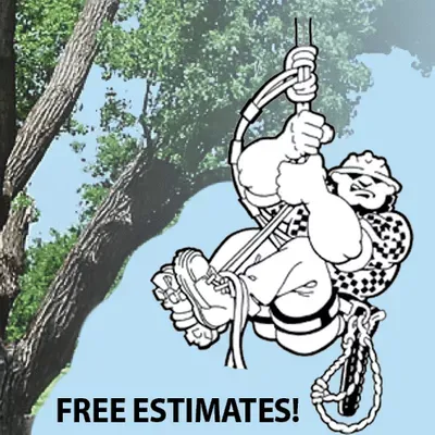 Mitchells Tree Care