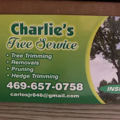 Charlie’s tree service