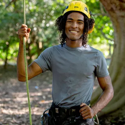 Subtropical Arborists