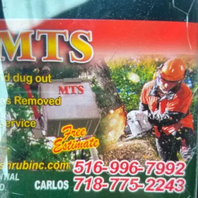 Metropolitan Tree Experts corp