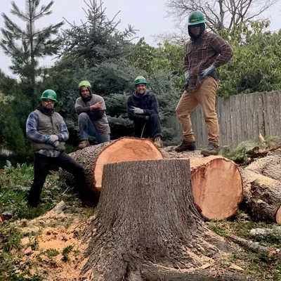Lesko Tree Service and Landscaping