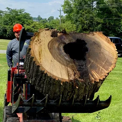 K & K Tree Service LLC