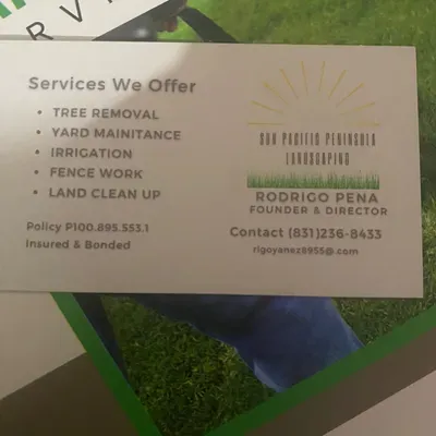 Sun pacific peninsula tree and landscaping