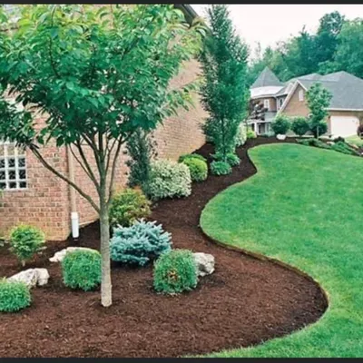 Mike tree services