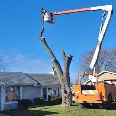 Kunzandsontree inc.