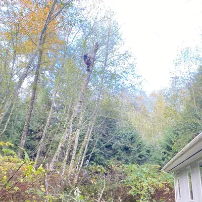 North west landscaping & hardscaping