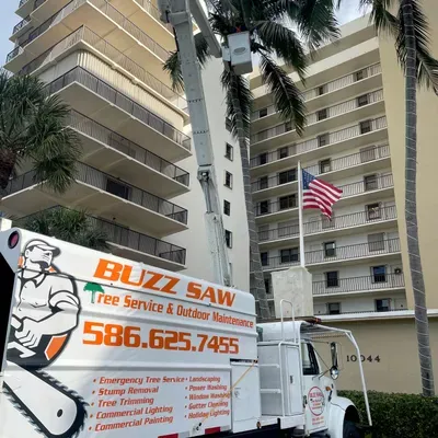 buzz saw tree service and outdoor maintenance