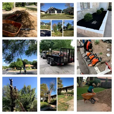 Sanchez Tree Services
