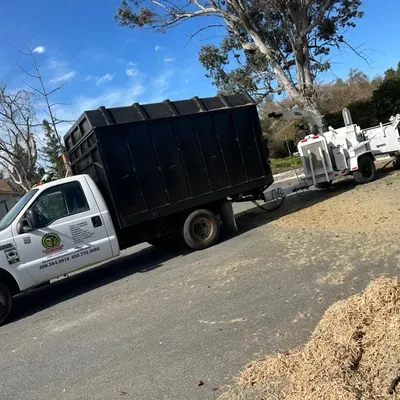 OROZCO's EXPERT TREE SERVICE