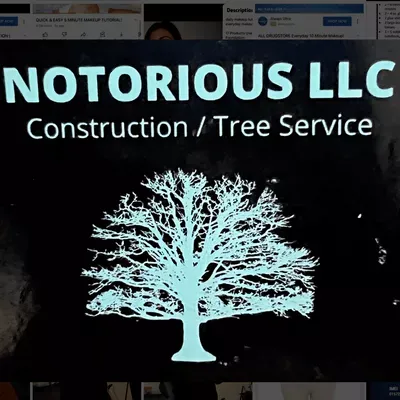 Notorious LLC