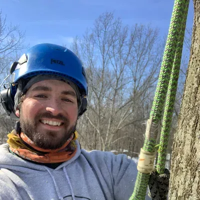 Mild Tree Care