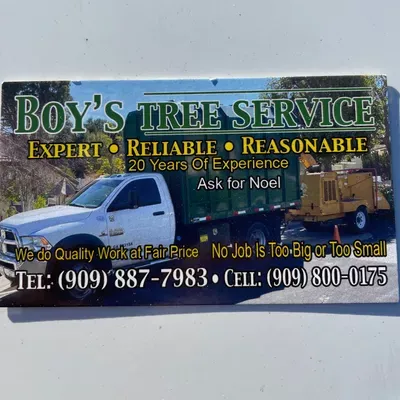 Boy's Tree Service