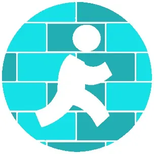 The Tile Guy