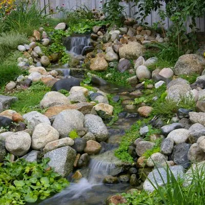 Bill Timmons Landscaping and Gardening