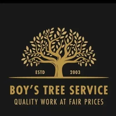 Boy's Tree Service
