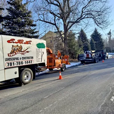 EBL Landscape &tree services