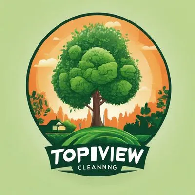 Top view cleaning
