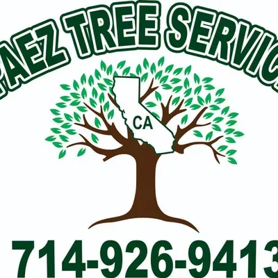 Paez tree service