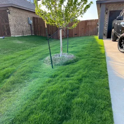 Becks lawn serviced