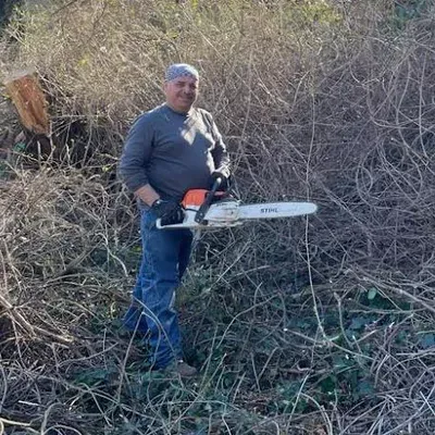 IPO Tree Services & Landscaping LLC