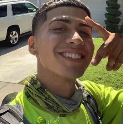 50 stars tree service