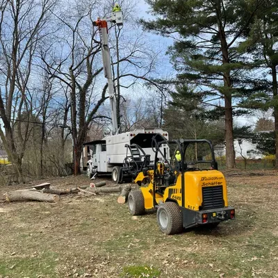 A.J.L. Tree Service