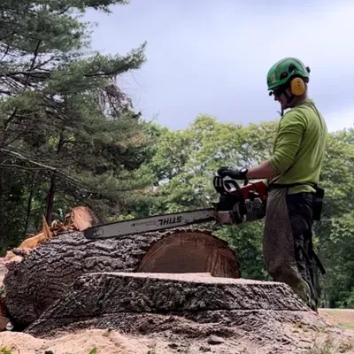 Fast Acting Tree Care LLC