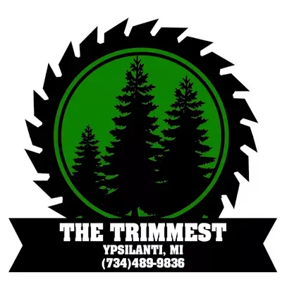 The Trimmest