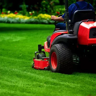 Armadillo Lawn Care & Services