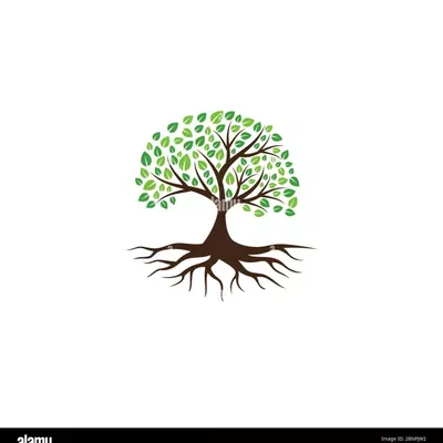 Esquivel’s tree service
