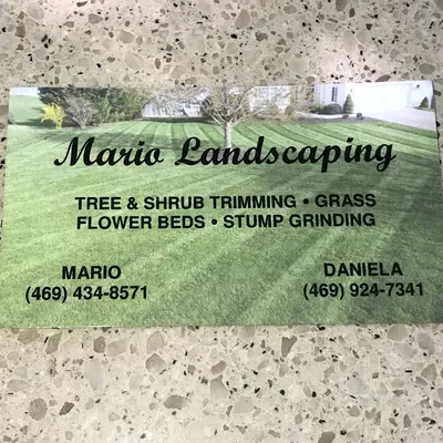 Mario Tree Service