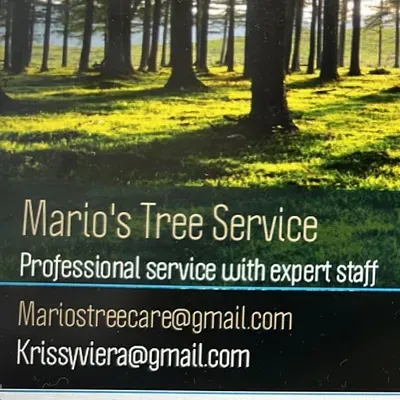 Mario’s Tree Service