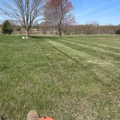 Delta lawn care and landscaping
