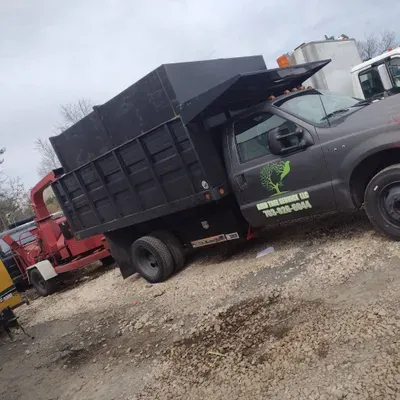 Bird Tree Service LLC