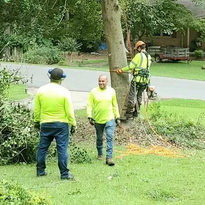 Gutierrez Tree Service LLC