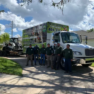 Castor Tree Service & Landscaping LLC