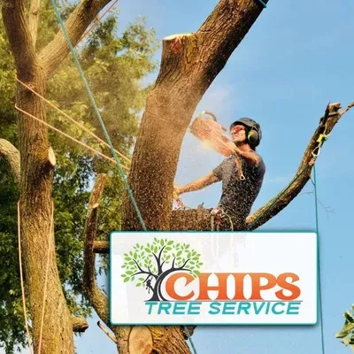 Chips Tree and Landscape