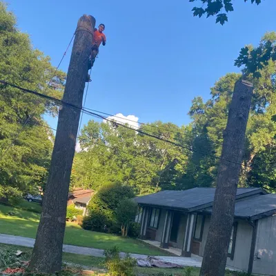 GreenTech Tree Service LLC