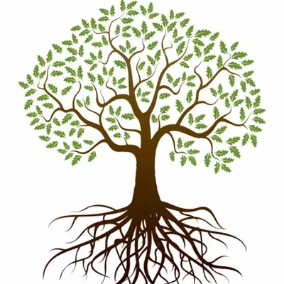 One Way Tree Care