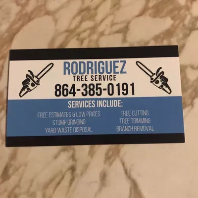 Rodríguez services