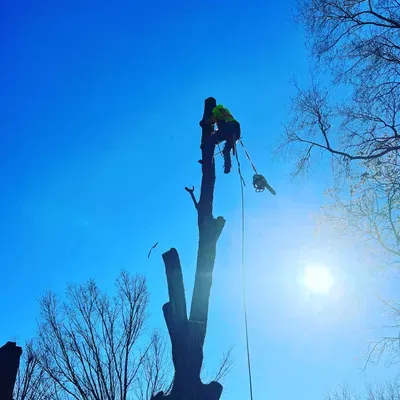 Legion Hills Tree services LLc