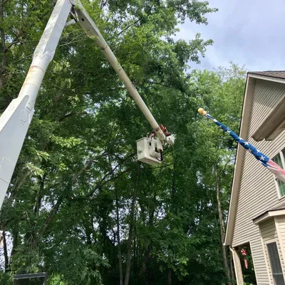 Done right tree service