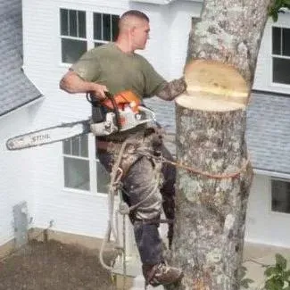 CRW Tree Service, LLC