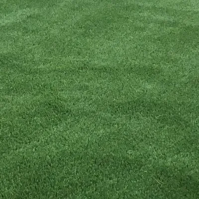 Desert Turf