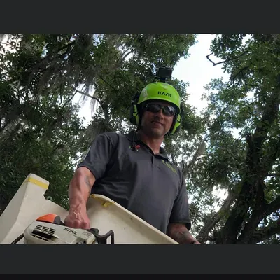 Best trees and landscaping LLC