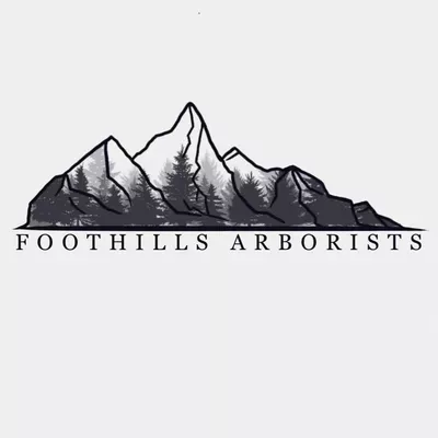 Upstate Arborists