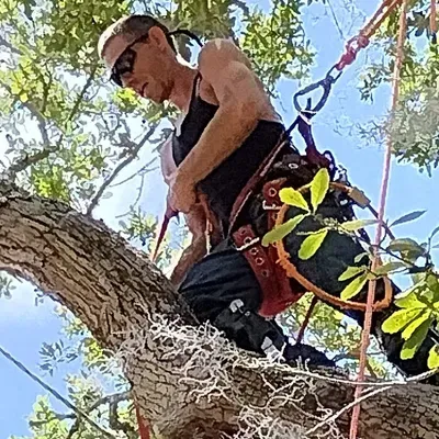A-1 Arbor Masters LLC