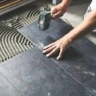 Proline Renovation