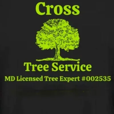 Andrew Cross