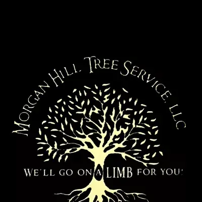Morgan Hill Tree Service LLC